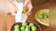 子どもと一緒に梅シロップ作り！初めての「梅しごと」に挑戦