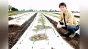 猛暑避け本州から北海道へ農業移転、冷涼気候で野菜栽培拡大