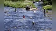 茨城・久慈川でアユ釣り解禁　太公望ら熱心に友釣り楽しむ