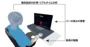 BCIを用いたニューロフィードバック訓練で脳の状態切り替えが可能に、慶應大が発表