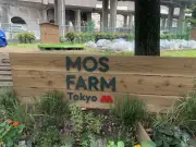 板橋区とモスバーガーがコラボ、農園「MOS FARM Tokyo 高島平農園」が誕生