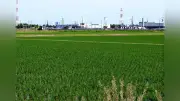 J1鹿島アントラーズ、クラブハウスを潮来市へ移転検討　市が調査委託費計上