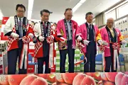 日本郵便とJAふくしま未来、献上桃の郷・桑折町のモモをカタログ販売開始