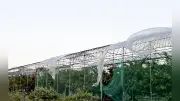 強風でサクランボ栽培ハウス被害拡大、JA山形中央会が県に支援要請