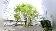 国立音大附属中高、「音中KUNION講座」6月21日開催　体験レッスンや音楽プログラミング