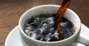 コーヒーが腸を介して認知機能に影響？アイルランドでの調査結果、Nature系列誌で研究発表